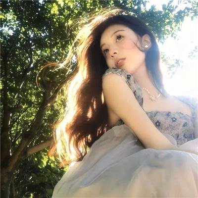 燕子盗